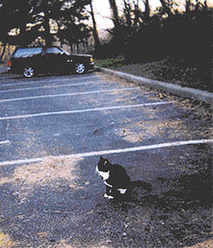 April in the parking lot
