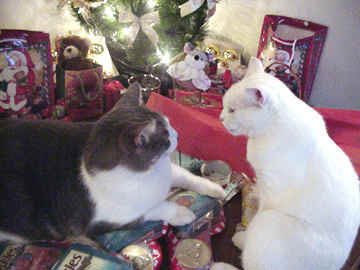 Laura discusses Chistmas gifts with Ralph.