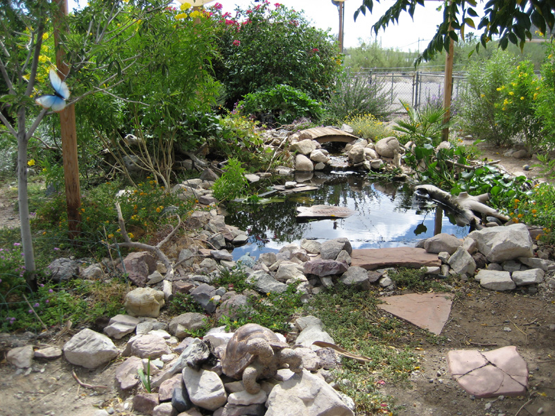 Pond in September 2006